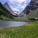 Aspen Expeditions - Guided mountain hikes, treks, & overnight camping trips through the Maroon Bells Wilderness & White River National Forest. Customized trips for every adventure traveler!