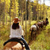Bearcat Stables - Specializing in horseback rides of groups of 8 or less, for one day or up to 4 days. Hunting camps, pack trips, weddings, sleigh & carriage rides, all in a stunning location!