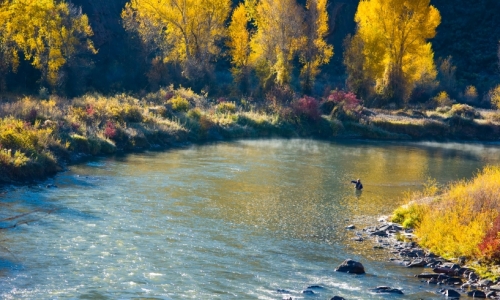 Eagle River Colorado Fly Fishing
