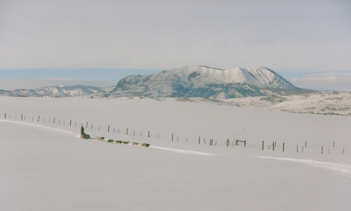 Vail Colorado Dog Sledding