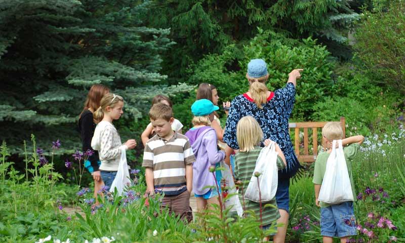 Kids Program at Vail Nature Center