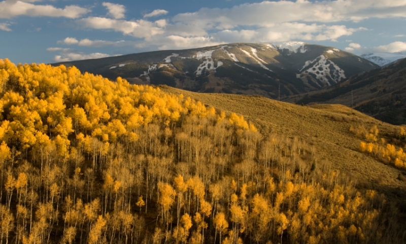 Beaver Creek in the Fall