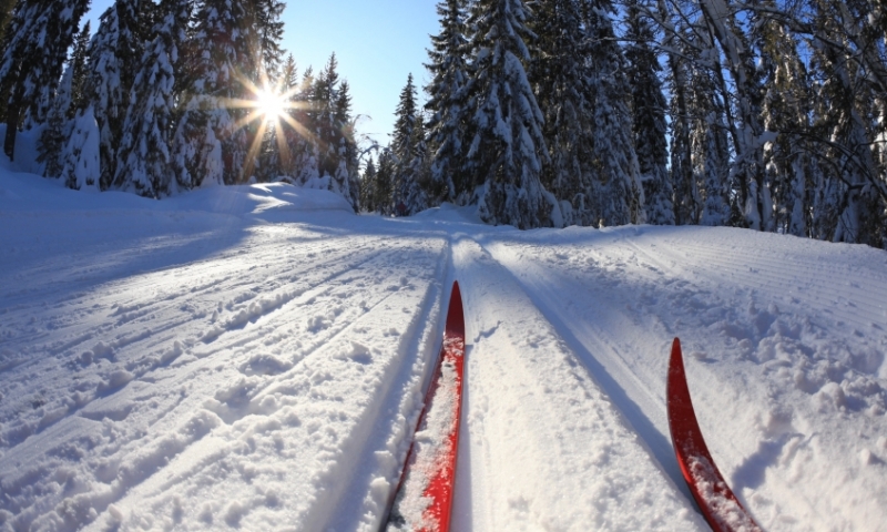 Cross Country Skiing