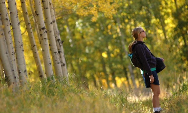 Colorado Hiking Trail East Vail