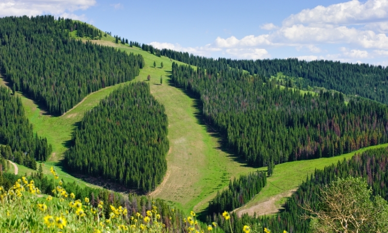 Summer Ski Runs at Vail