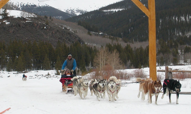 dog sled tours near denver