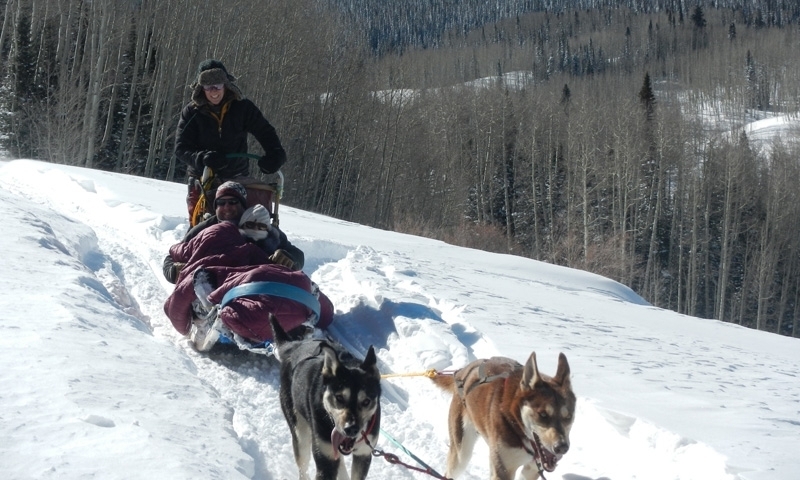 sledding colorado vail colorado sledding sled tours alltrips sledding colorado vail colorado sledding sled tours alltrips
