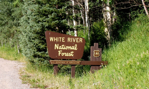 White River National Forest