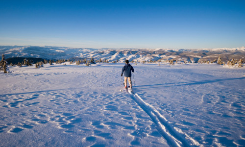 Cross Country Skiing