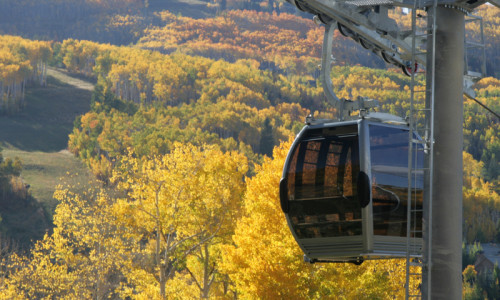 Gondola Rides