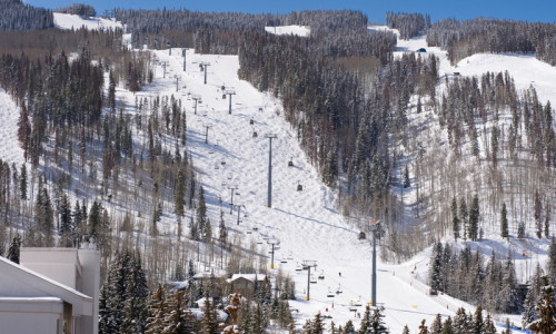 Winter Activities & Services